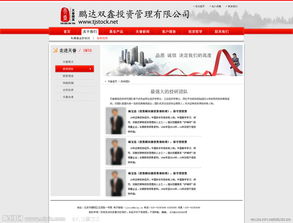 投資管理 專業(yè)與遠(yuǎn)見的視覺呈現(xiàn)